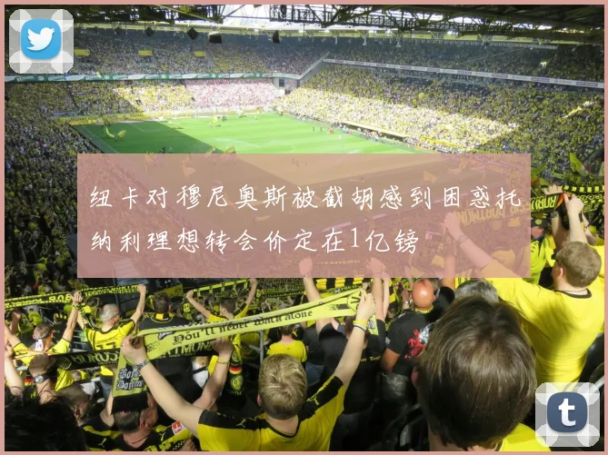 纽卡对穆尼奥斯被截胡感到困惑托纳利理想转会价定在1亿镑
